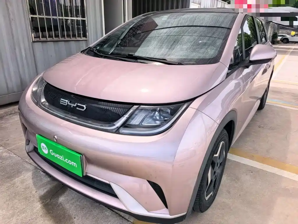 BYD Dolphin 2022