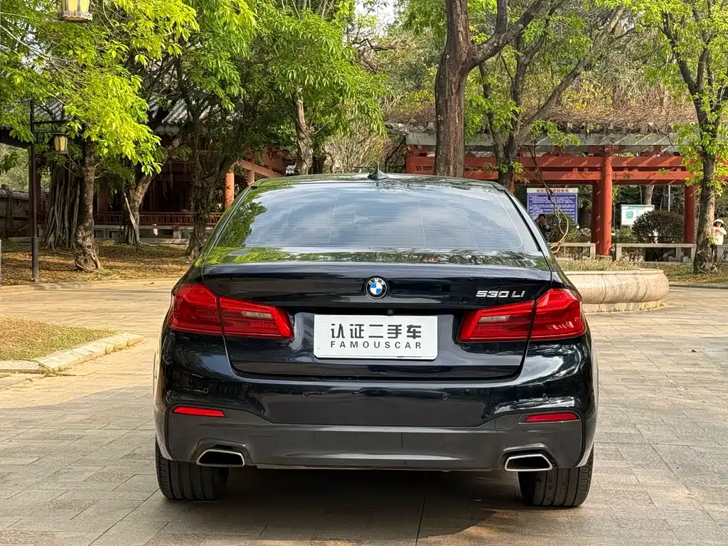 BMW 5 Series 2017 — фото 18