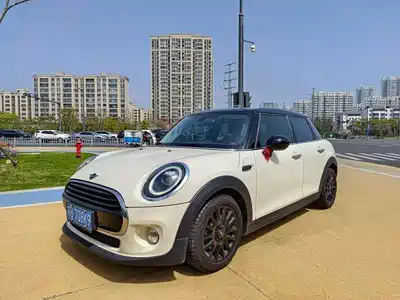 MINI MINI 2019