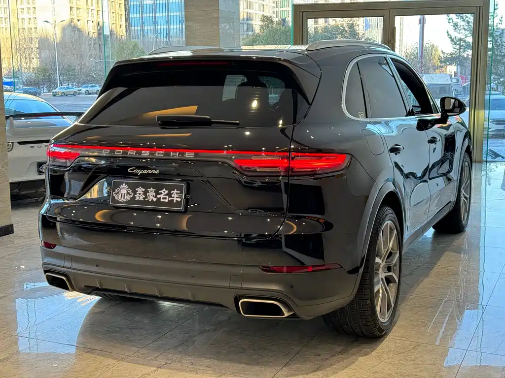 Porsche Cayenne 2022 — фото 18