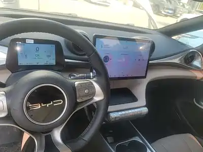 BYD Dolphin 2024