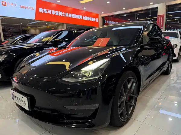 Tesla Model 3 2021