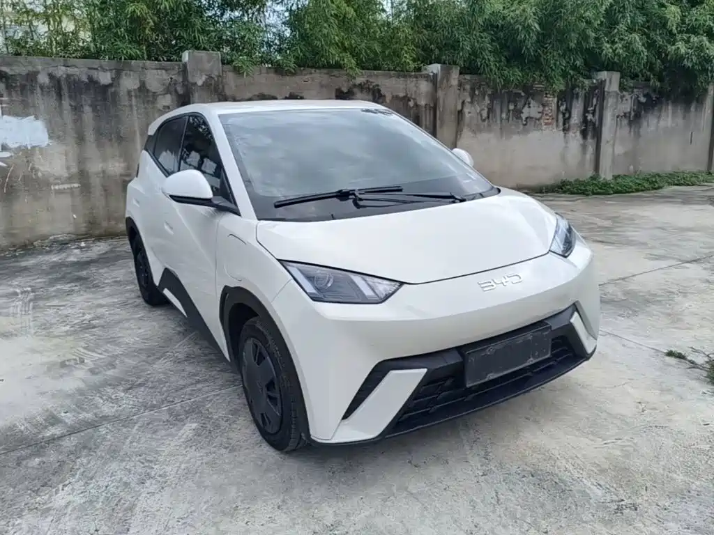 BYD Seagull 2024
