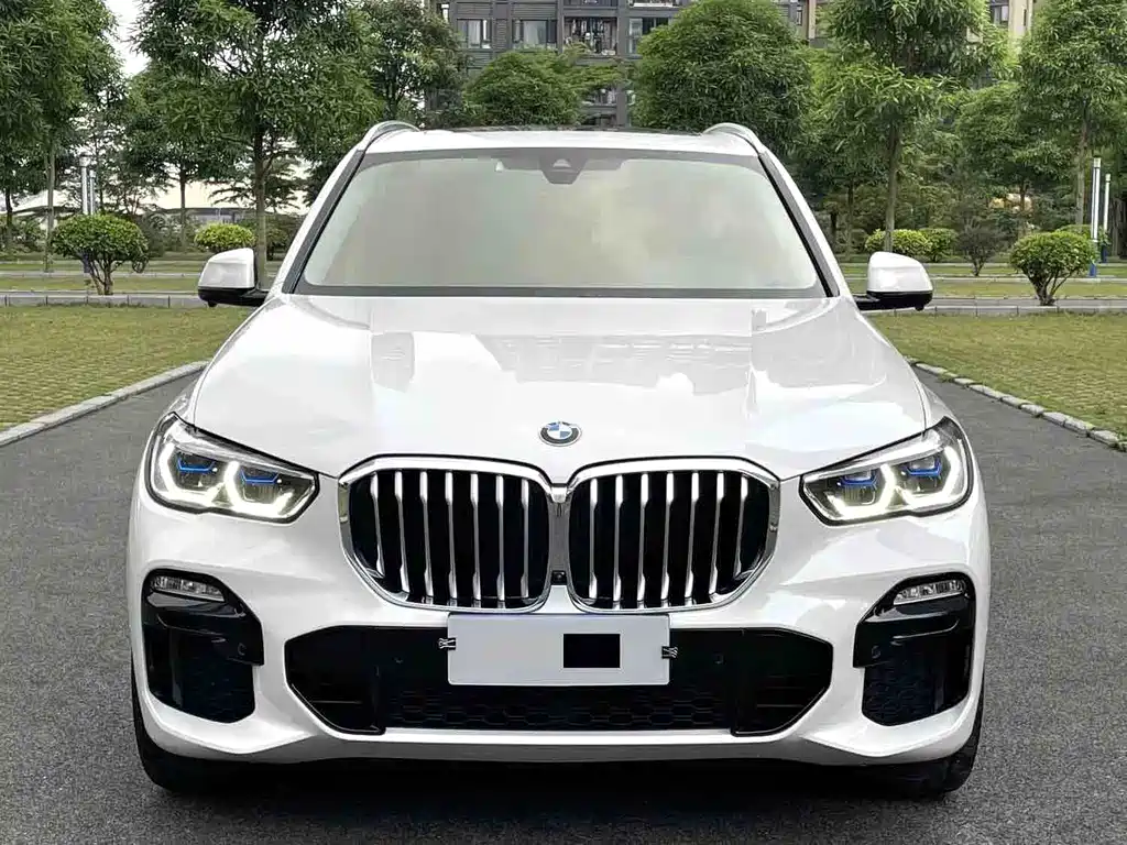 BMW X5 2019 — фото 2