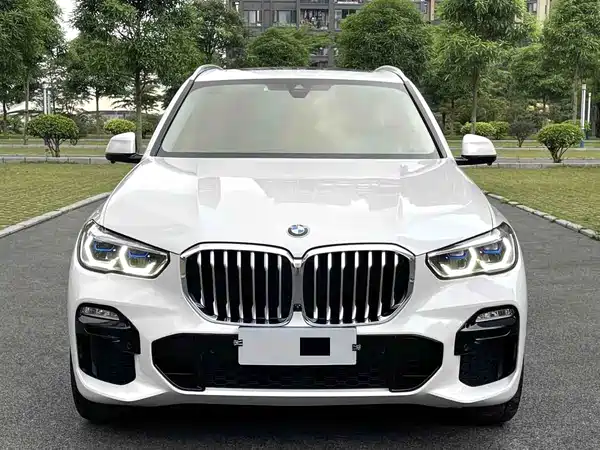 BMW X5 2019