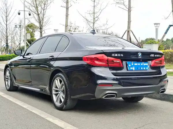 BMW 5 Series 2019