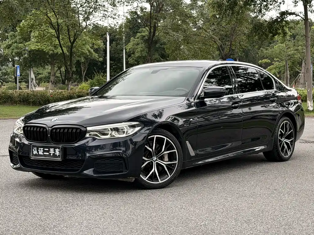BMW 5 Series 2020 — фото 1