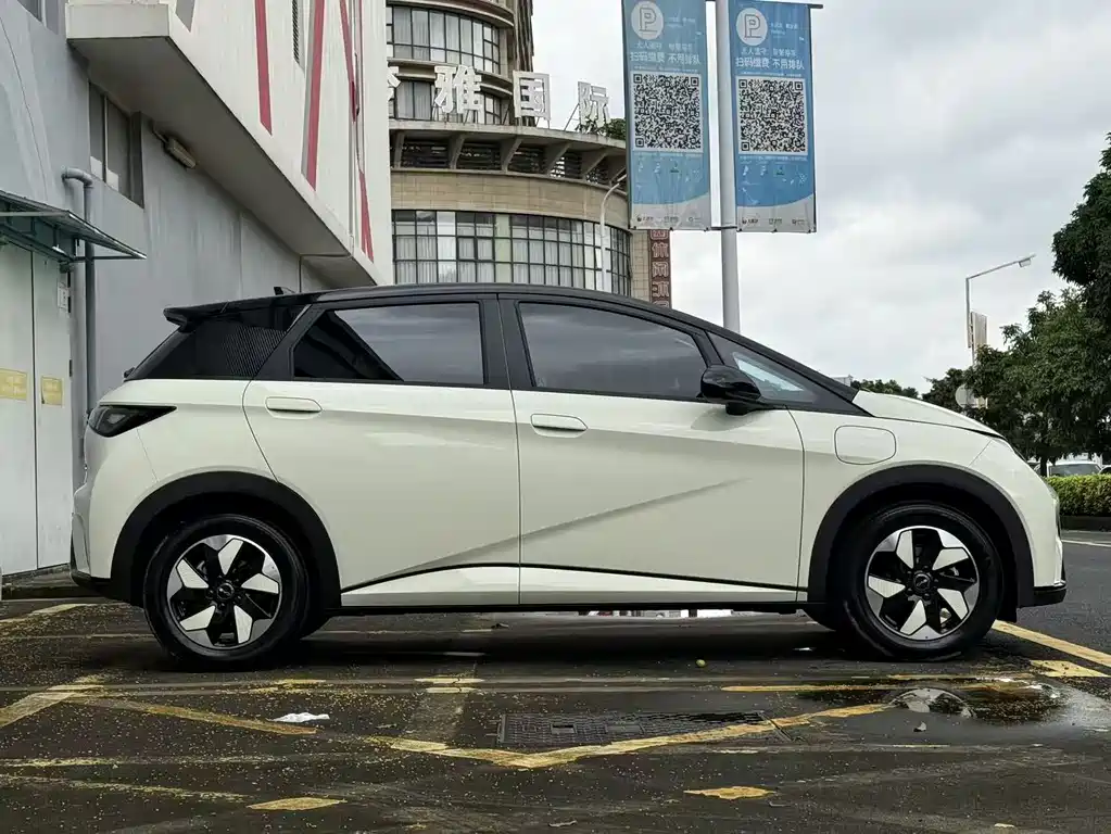 BYD Dolphin 2026