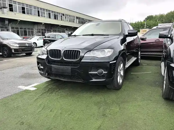 BMW X6 2010
