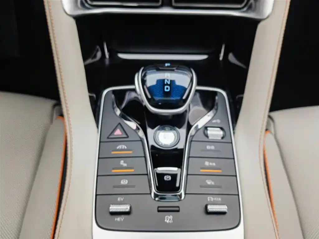 BYD PLUS New Energy 2023 — фото 13