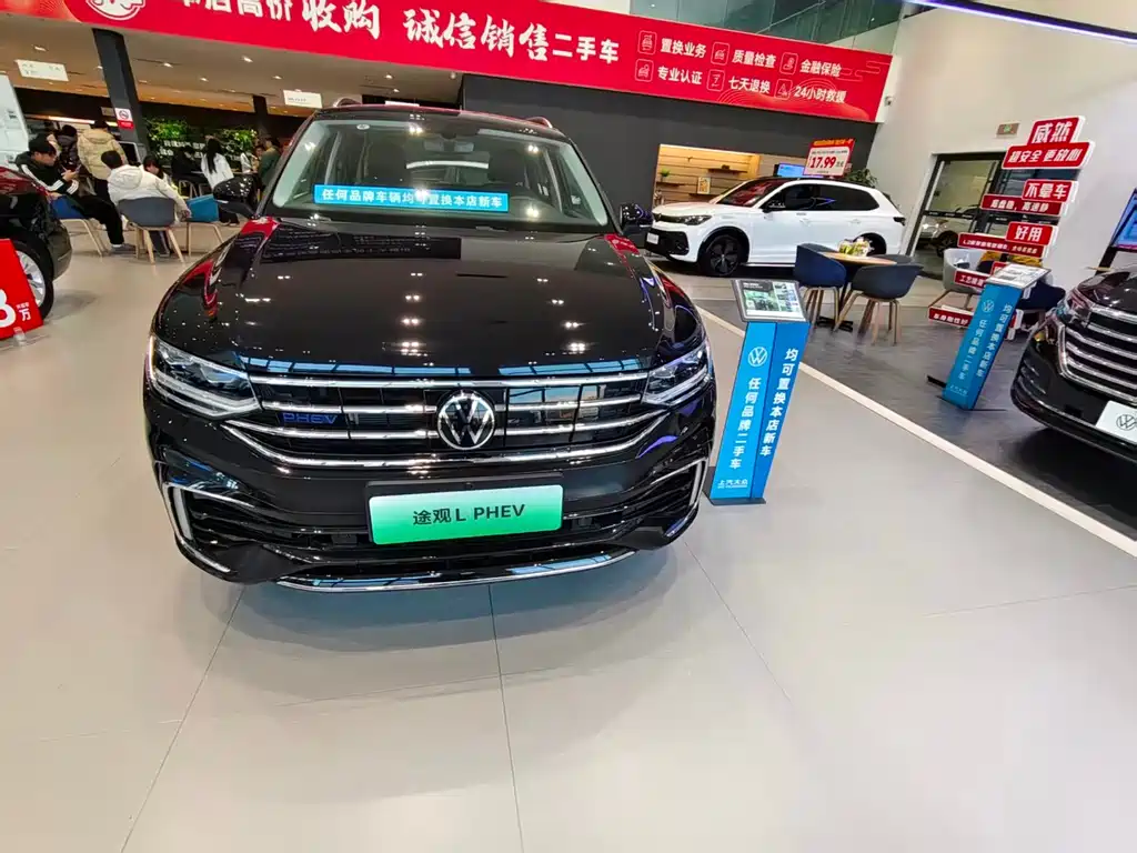 Volkswagen Tiguan L New Energy 2025 — фото 2