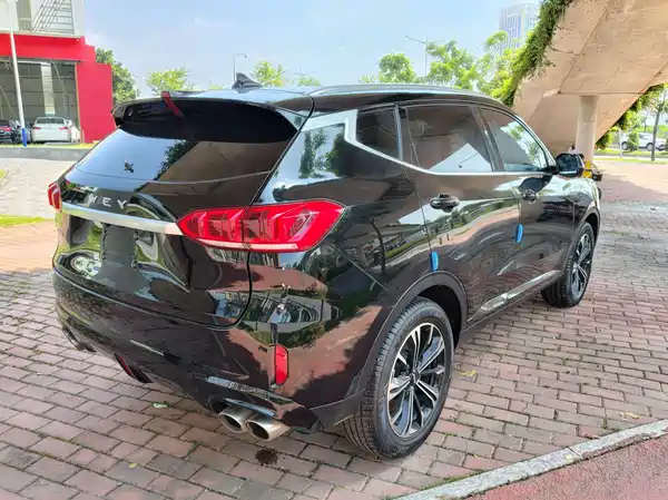 Wey VV6 2020