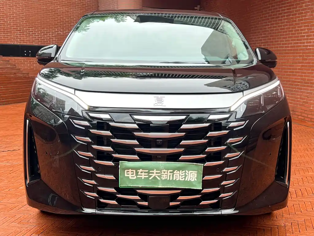 BYD Xia 2025