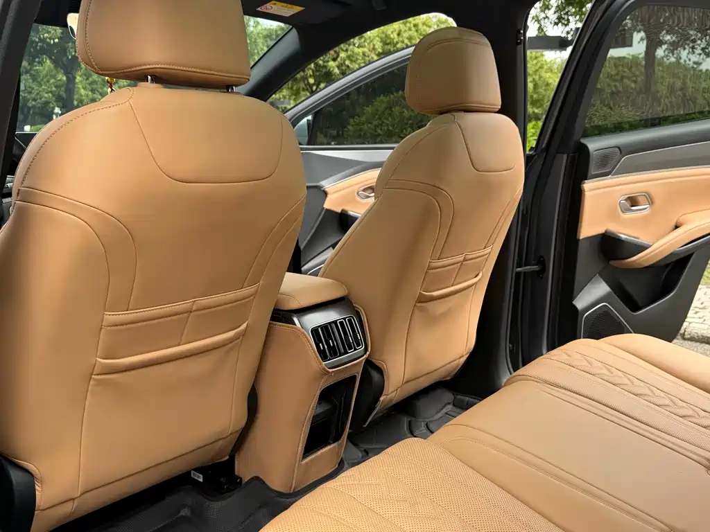 BYD L DM-i 2024 — фото 11