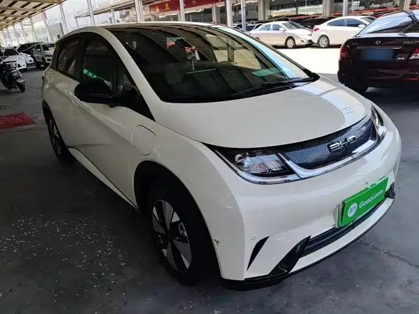BYD Dolphin 2024