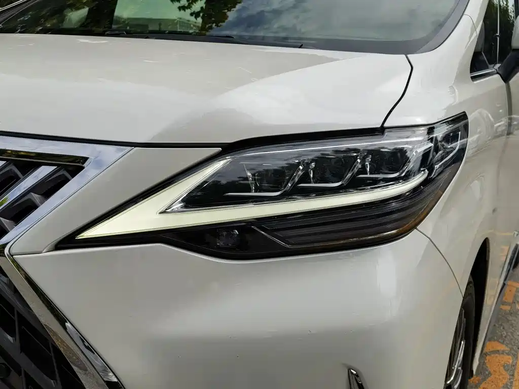Lexus LM 2021 — фото 18