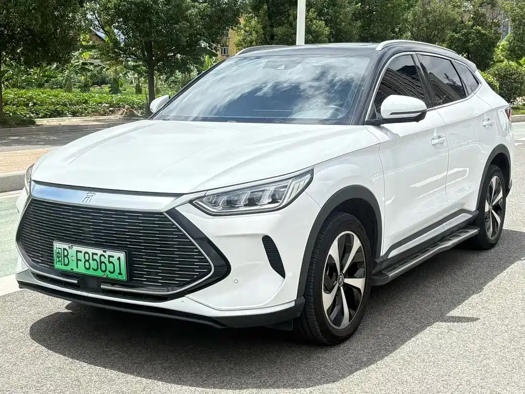 BYD Song PLUS New Energy 2021 — фото 1