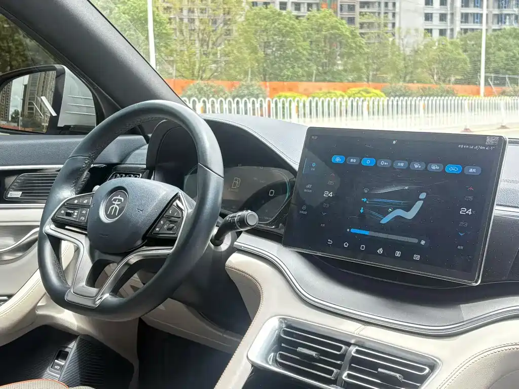 BYD Song PLUS New Energy 2021 — фото 8
