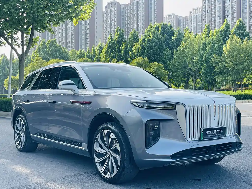 Hongqi E-HS9 2023 — фото 3