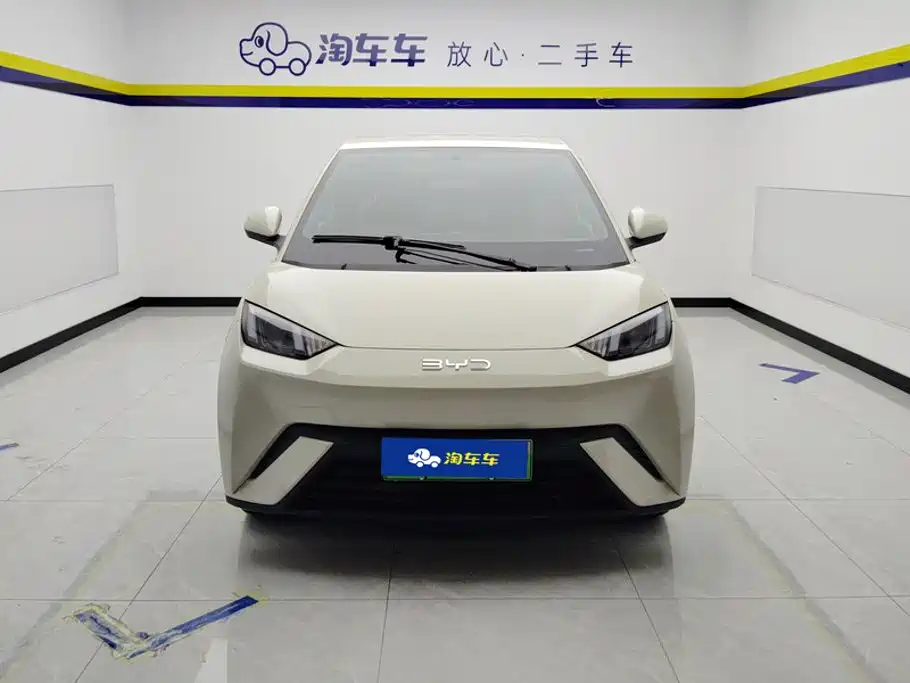 BYD Seagull 2024
