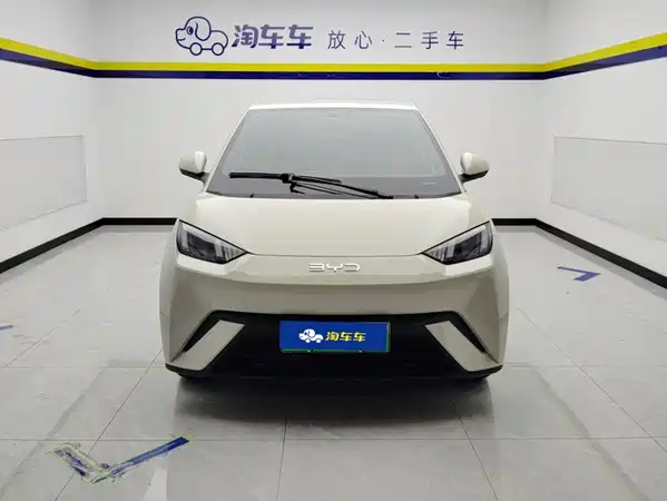 BYD Seagull 2024