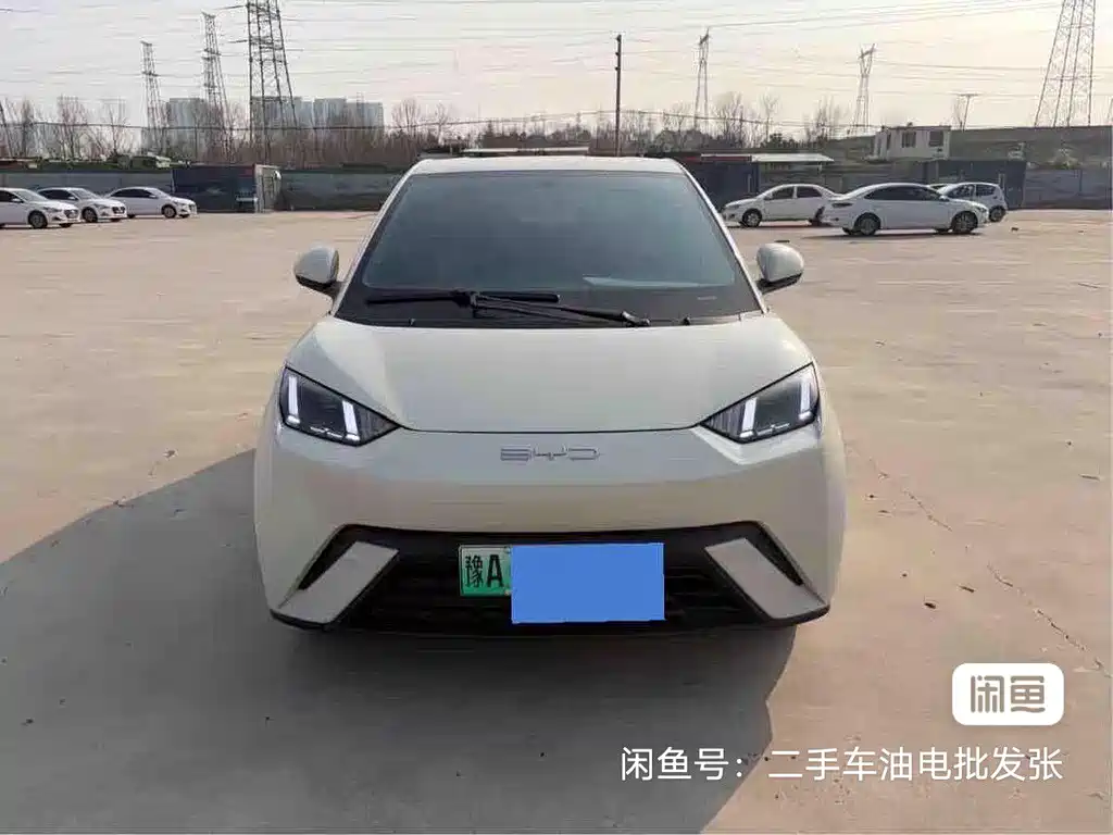 BYD Seagull 2024