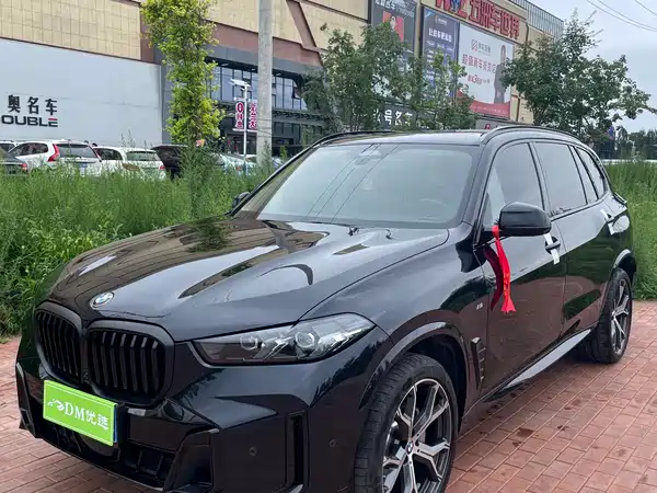 BMW X5 2025
