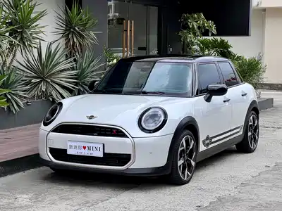MINI MINI 2025