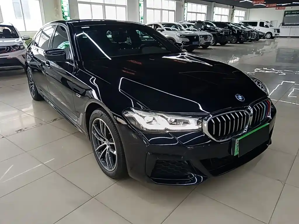 BMW 5 Series New Energy 2023