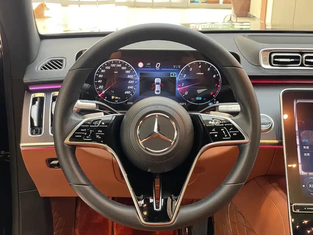 Mercedes-Benz S-Class 2021 — фото 23