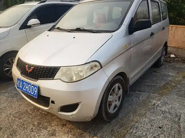Wuling Hongguang 2010
