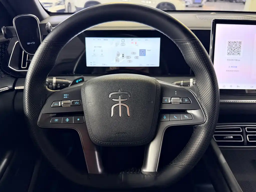 BYD Song Pro New Energy 2025 — фото 4