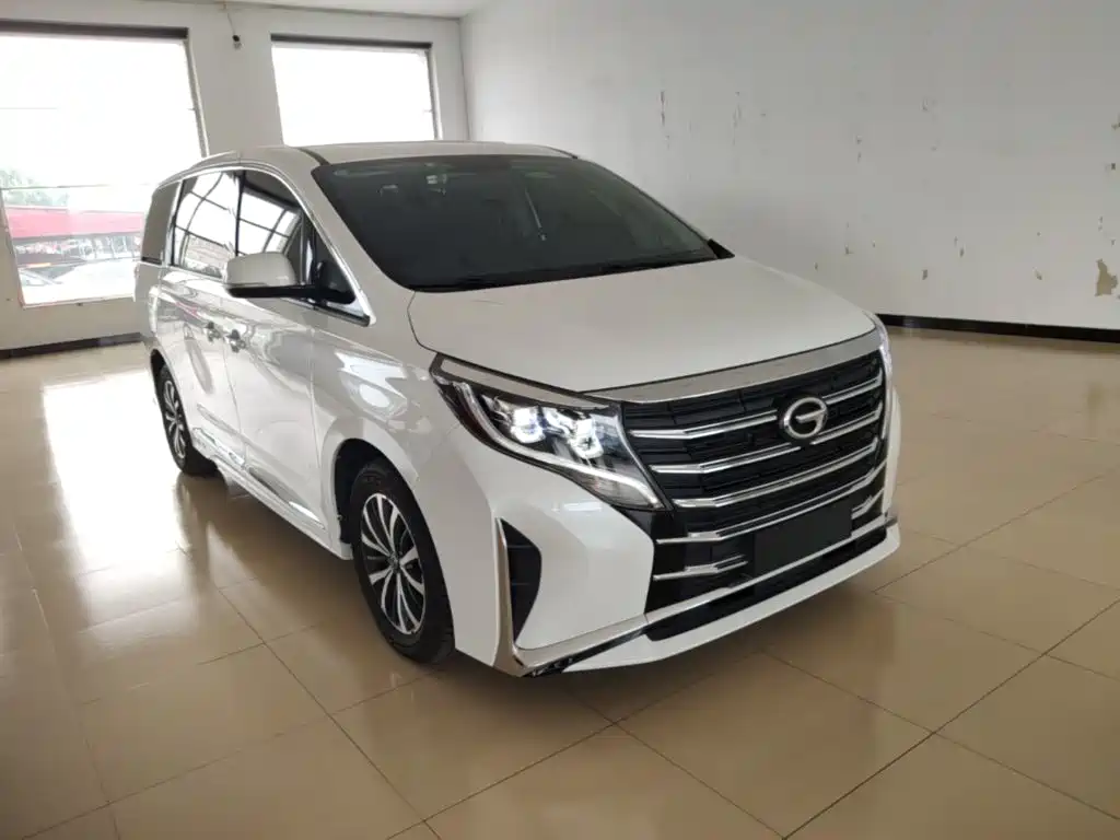 GAC Motor Trumpchi M8 2023 — фото 22
