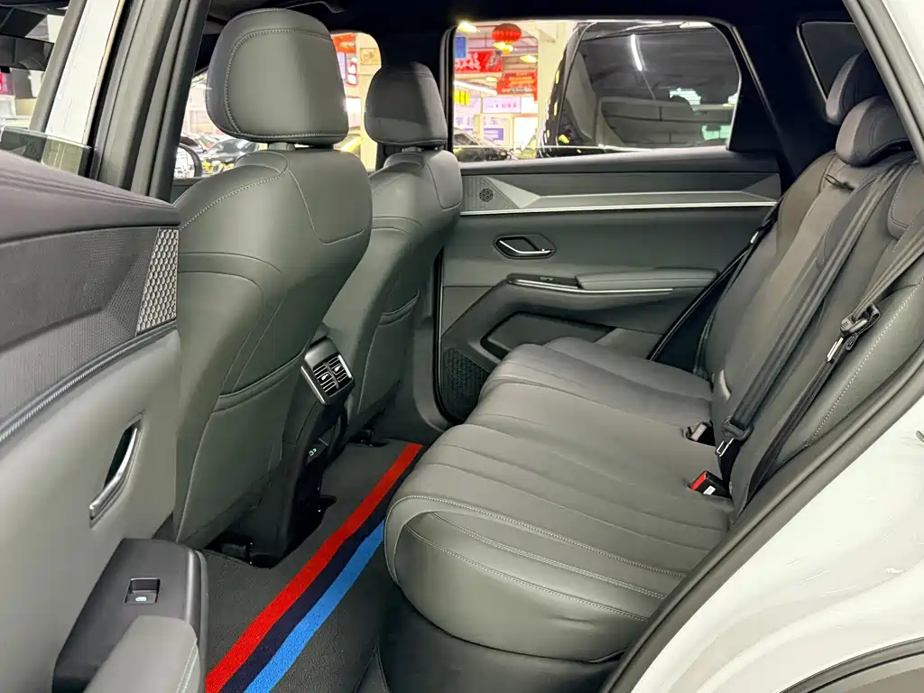 BYD Song Pro New Energy 2025 — фото 8