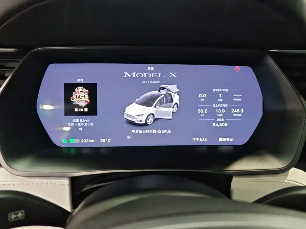 Tesla Model X 2019 — фото 12