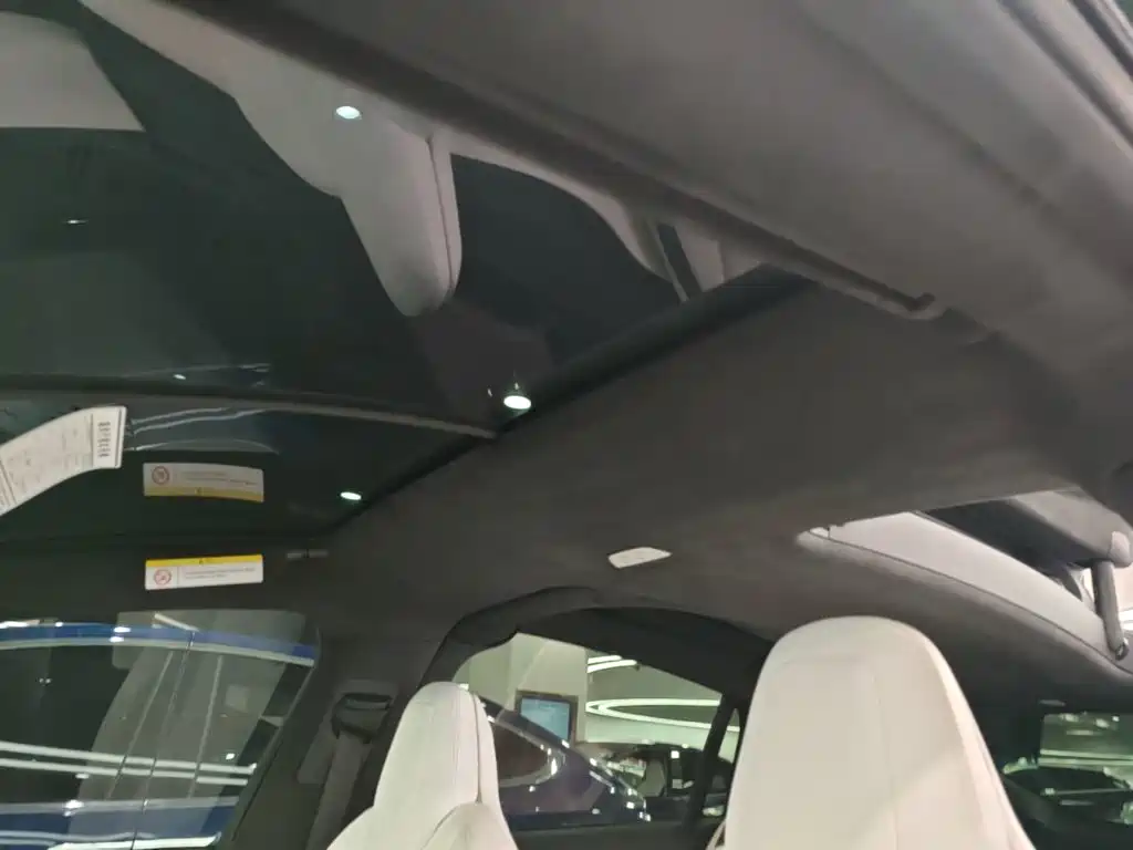 Tesla Model X 2019 — фото 18