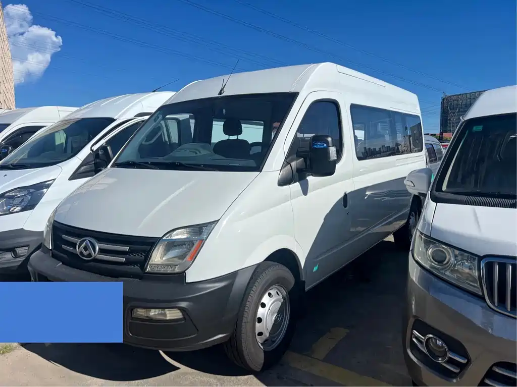 Maxus V80 2020