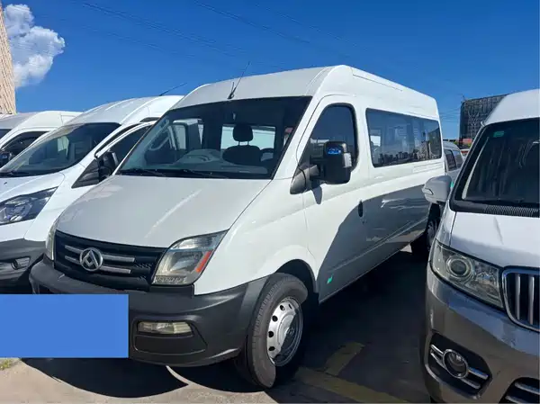 Maxus V80 2020