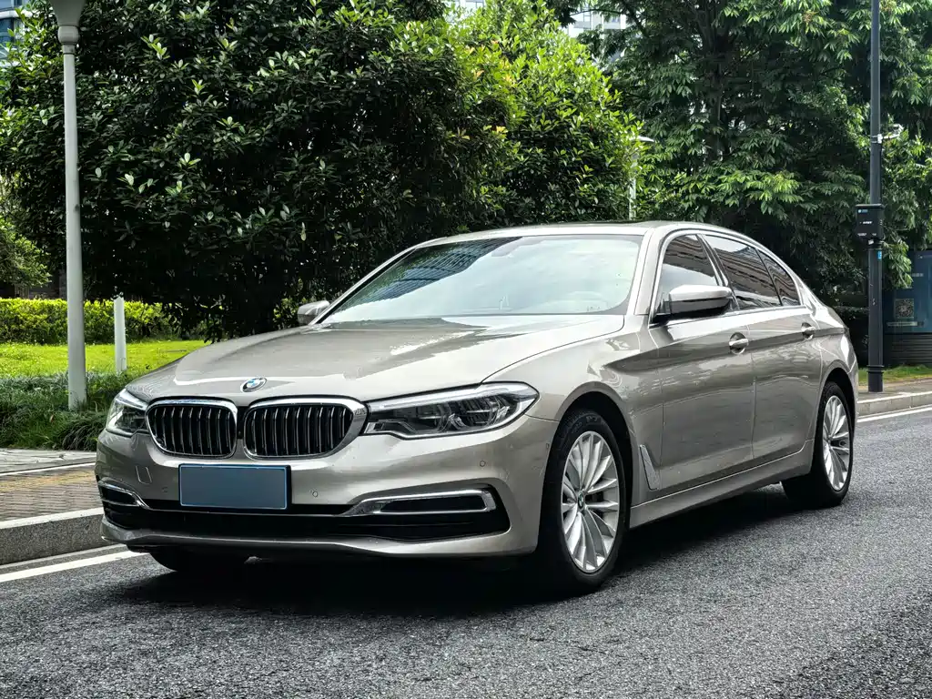 BMW 5 Series 2020 — фото 1