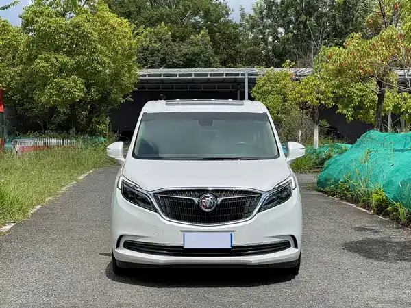Buick GL8 2019