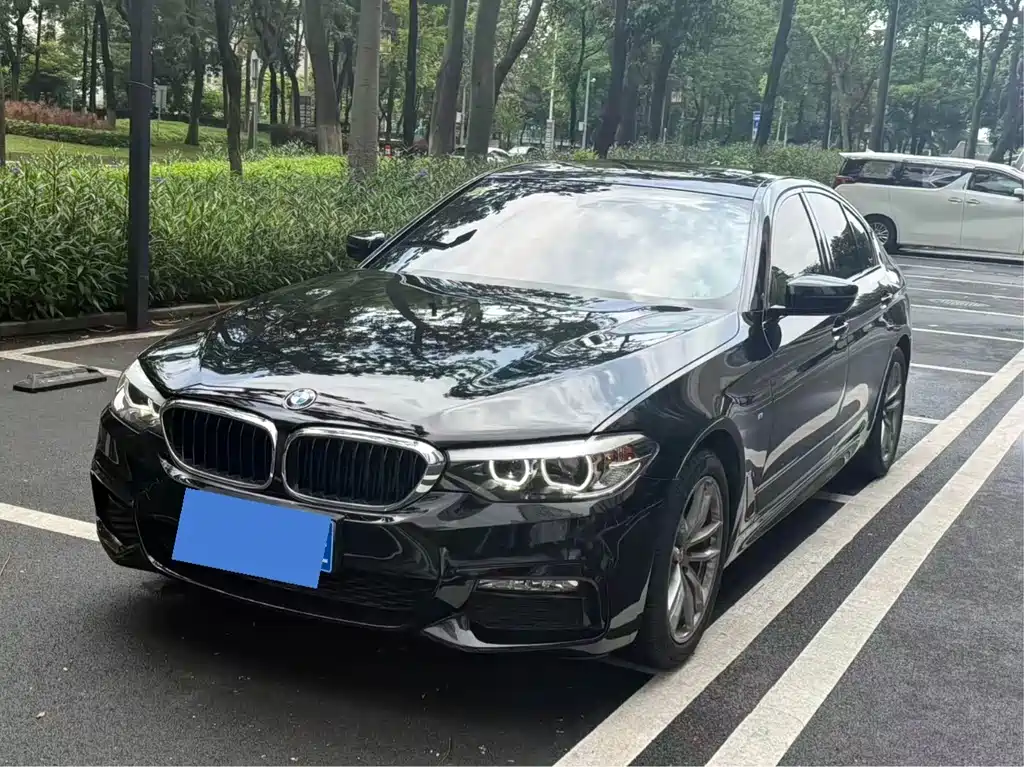BMW 5 Series 2018 — фото 1