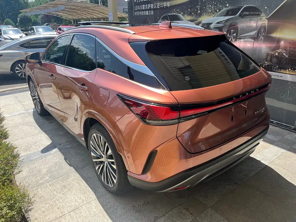 Lexus RX New Energy 2023 — фото 5
