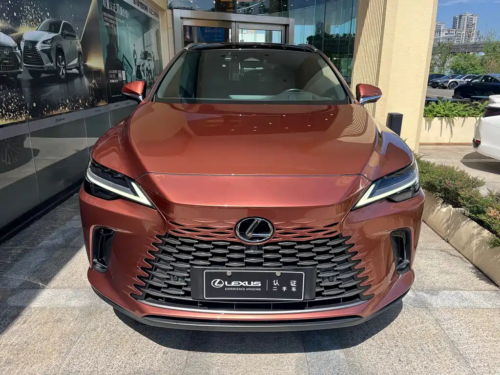 Lexus RX New Energy 2023 — фото 2