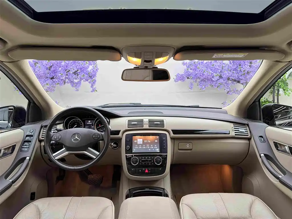 Mercedes-Benz R-Class 2017 — фото 15