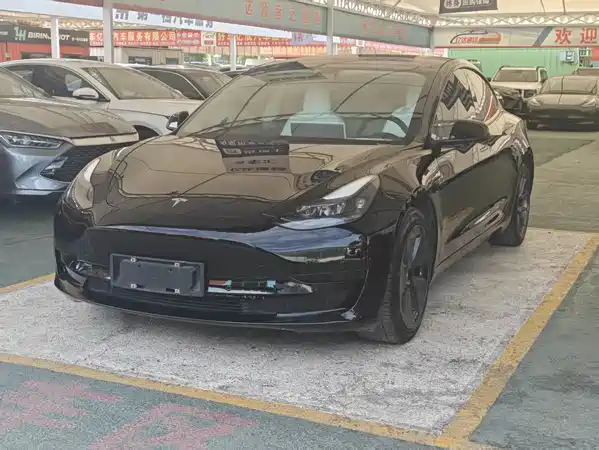 Tesla Model 3 2021