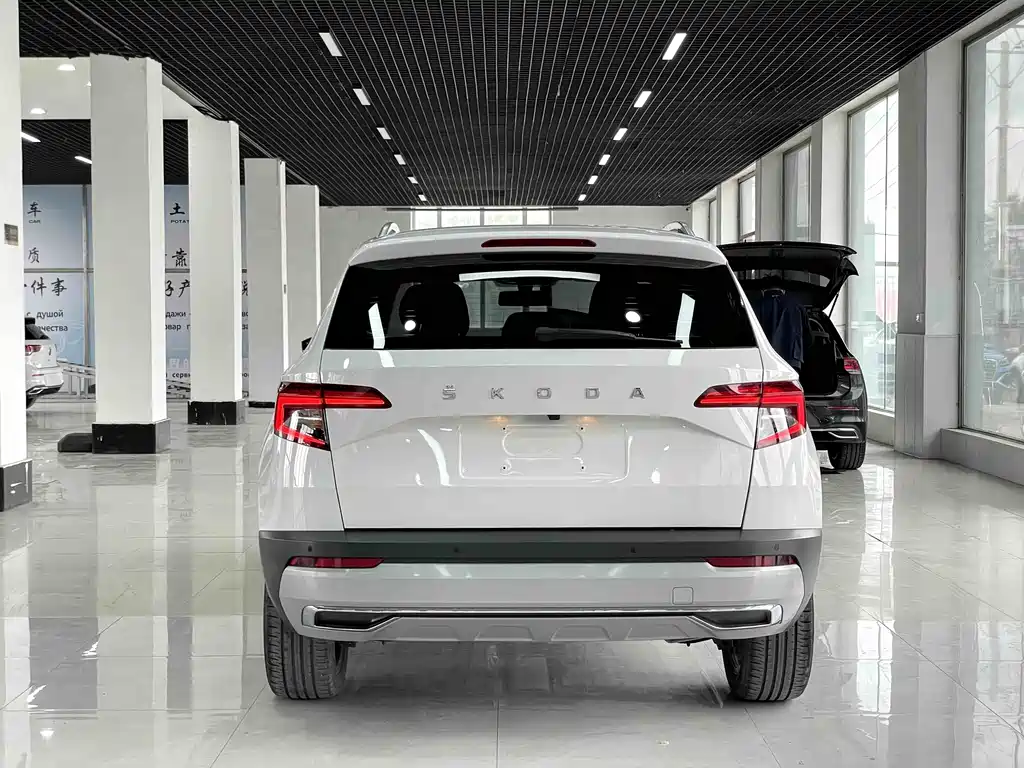 Skoda Karoq 2021 — фото 17