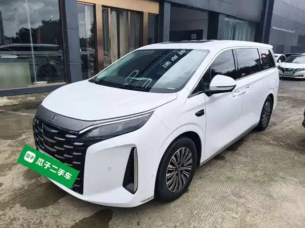 BYD Summer 2025