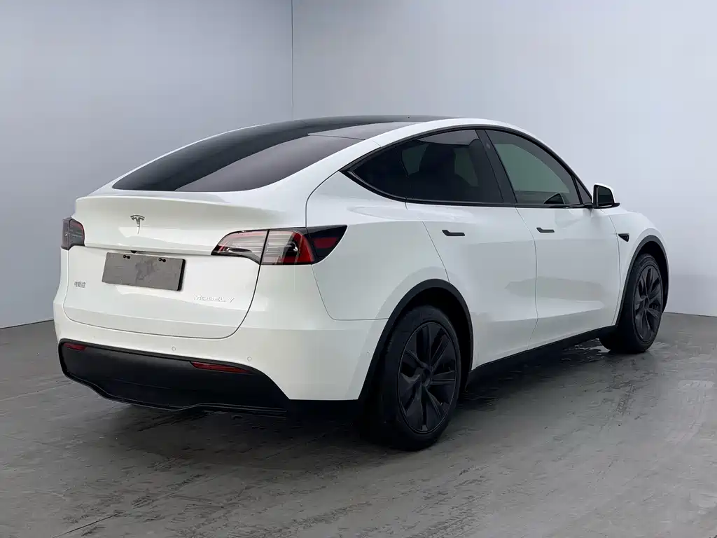Tesla Model Y 2024 — фото 4