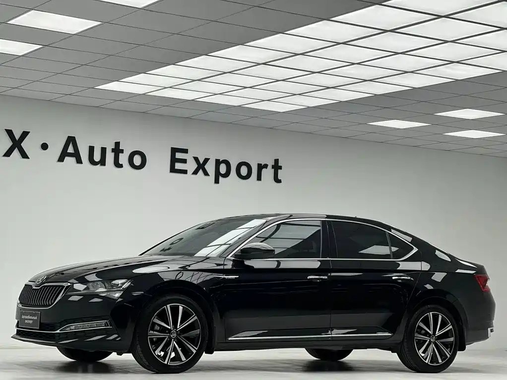 Skoda Speedy 2024
