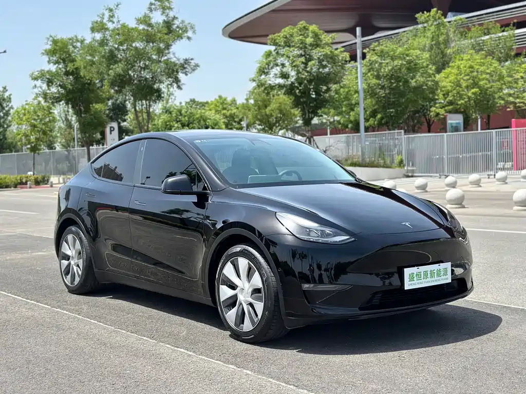 Tesla Model Y 2021 — фото 15